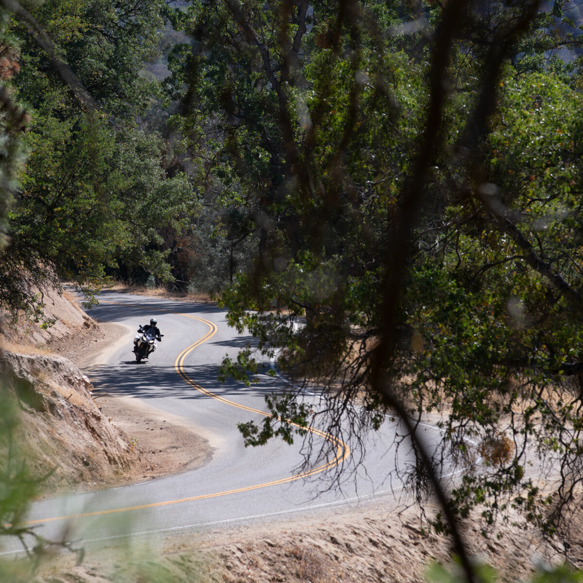 Shoei_hornet_header14