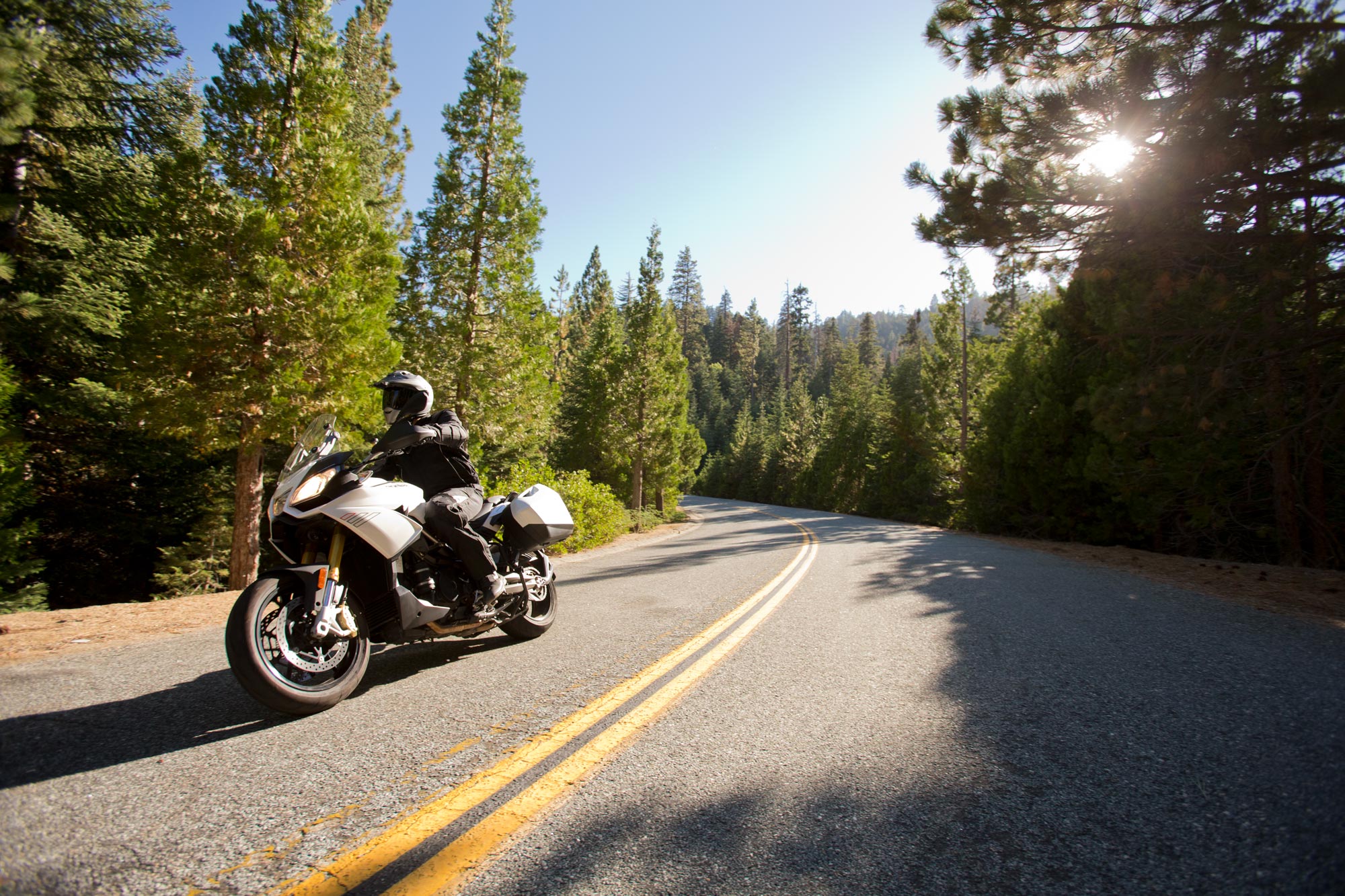 Shoei_hornet_header21