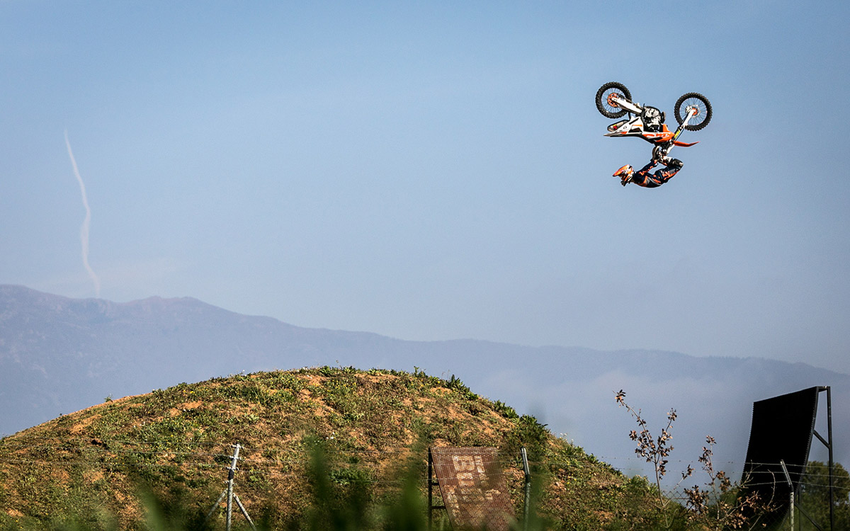 Maikel action 2